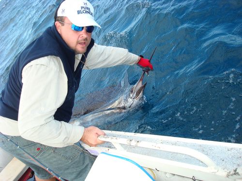 sailfish1 release